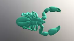 Atemnidae Titanatemnus Natalensis