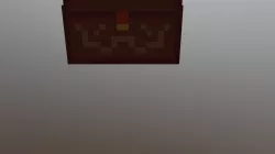 Chest