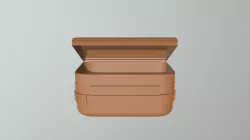Chest