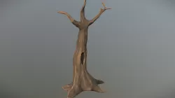 Creepy Cartoon Tree