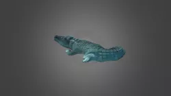 Croc