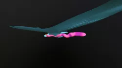 Dragonfly Bzzzt