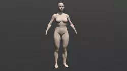 Estudo Anatomia Feminina