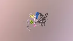GATA-1 Bound to DNA and FOG