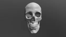 HD Skull from CT scan