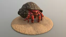 Hermit Crab