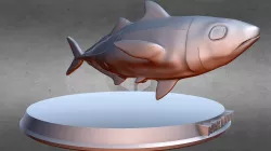 Horse Mackerel