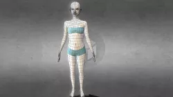 Human Base Mesh