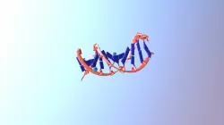 Ideal DNA B sequence structure