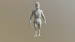 Janus Update 2