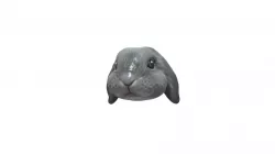 Lop bunny pet model jewellery