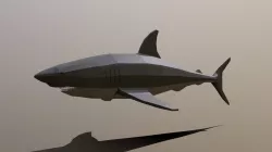 Low Poly Cartoon Shark