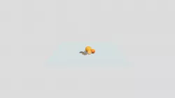 Oranges,Coins,Books