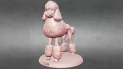 Poodle