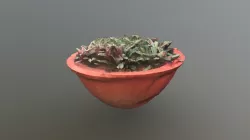 Pot 3D Model