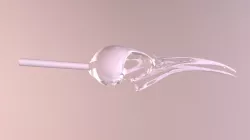 Promeropidae Promerops Gurneyi