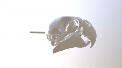Psittacidae Agapornis Roseicollis