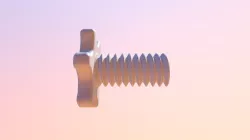 Screw