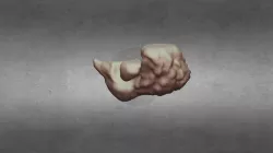 Stomach