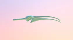 Threskiornthidae Plegadis Falcinellus