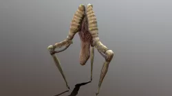 Tripod Hopper
