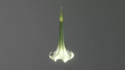 Trumpet Flower