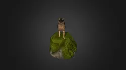 Wolf Model
