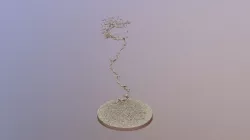 Another wormhole