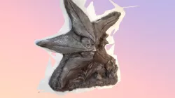 Asteria