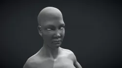 Basemesh Milestone 3