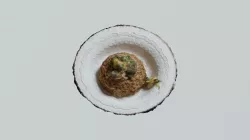 Bo-ggeum-bab