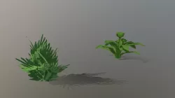 Bush And Plant