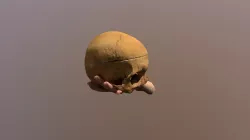 Calavera