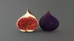 Figs