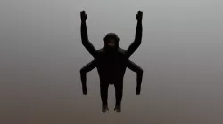 Four Armed Monkey 02