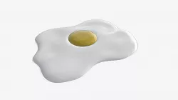 fried egg