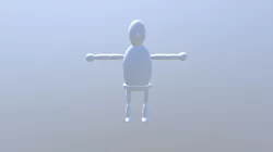 Full Body Head Test