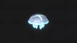 Jellyfish