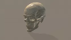 Low poly Skull