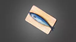 Mackerel