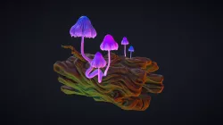 Magic Mushrooms in Moonlight