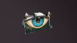 Ojo
