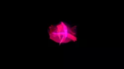 Pigeon Nebula