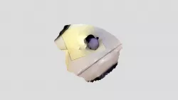 squish panda