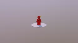 The flash