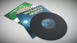 Vinyl record