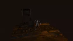 Witcher Bruxa