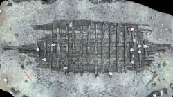Wreck Mönchgut Fpl. 64 (stop motion excavation)