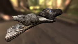 Beaver