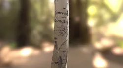 Bidart Bertrand 1917 - Photogrammetry